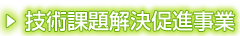 技術課題解決促進事業
